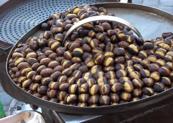 شەبەلۆت نیشانێن پیراتییێ كێم دكەت