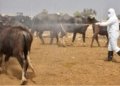 چاندنا عێراقێ: تايا خوینبەربوونێ بوویە نەخۆشییەکا جهگیر و هەردەمی